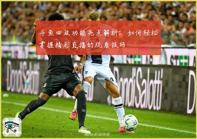 斗鱼回放功能亮点解析：如何轻松掌握精彩直播的观看技巧