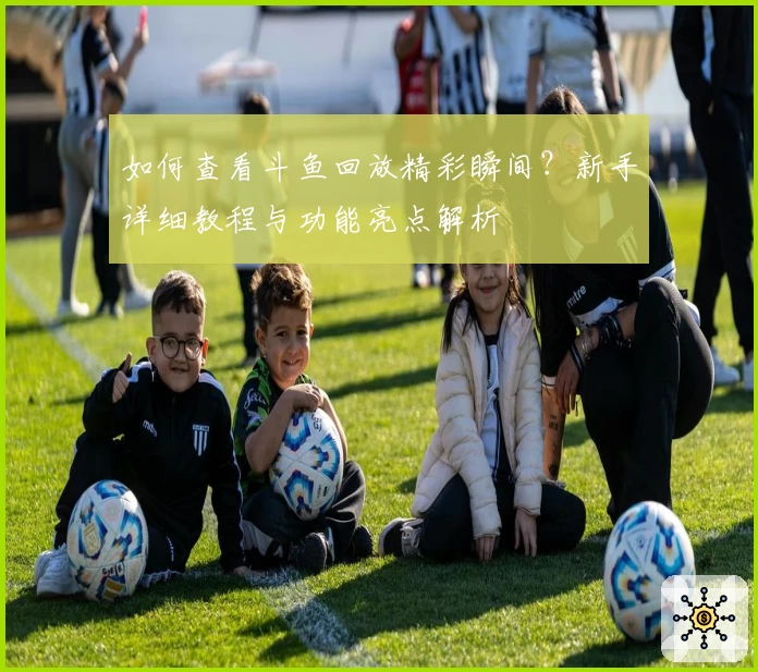 如何查看斗鱼回放精彩瞬间？新手详细教程与功能亮点解析