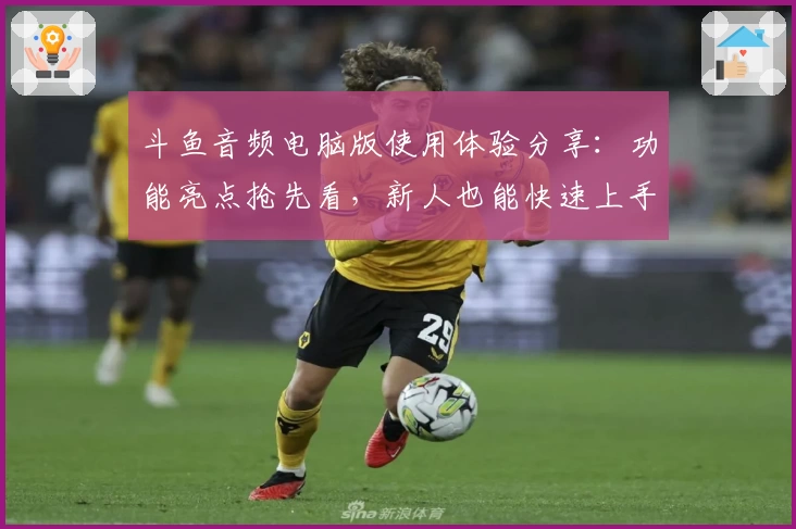 斗鱼音频电脑版使用体验分享：功能亮点抢先看，新人也能快速上手！