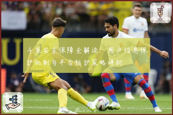 斗鱼安全保障全解读:用户信息保护机制与平台防护策略详析