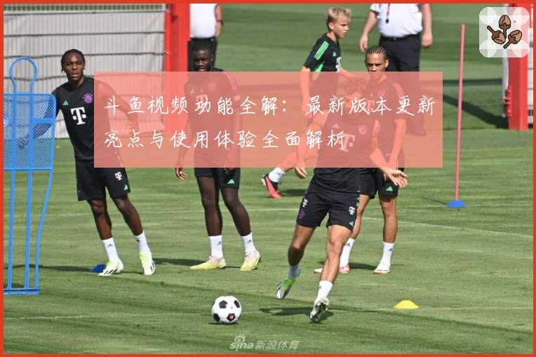 斗鱼视频功能全解：最新版本更新亮点与使用体验全面解析
