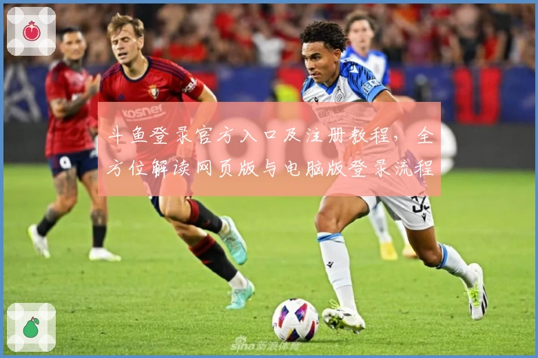 斗鱼登录官方入口及注册教程，全方位解读网页版与电脑版登录流程