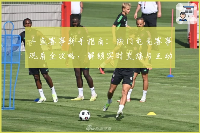 斗鱼赛事新手指南:热门电竞赛事观看全攻略,解锁实时直播与互动体验