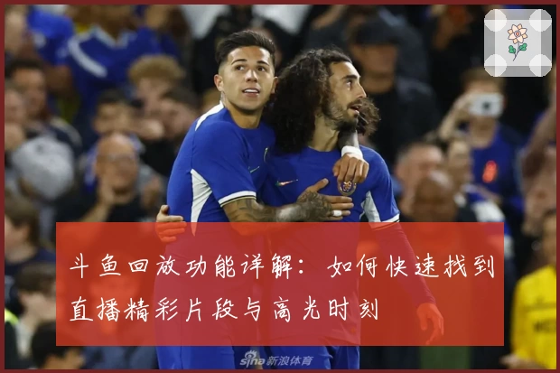 斗鱼回放功能详解:如何快速找到直播精彩片段与高光时刻