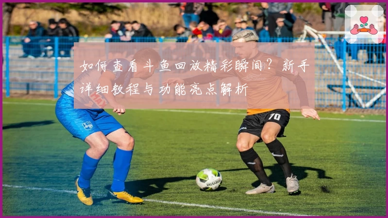 如何查看斗鱼回放精彩瞬间?新手详细教程与功能亮点解析