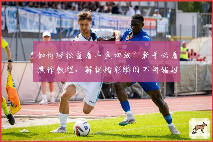 如何轻松查看斗鱼回放？新手必看操作教程，解锁精彩瞬间不再错过