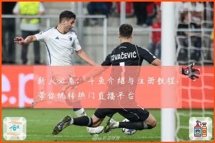 新人必看：斗鱼介绍与注册教程，带你玩转热门直播平台